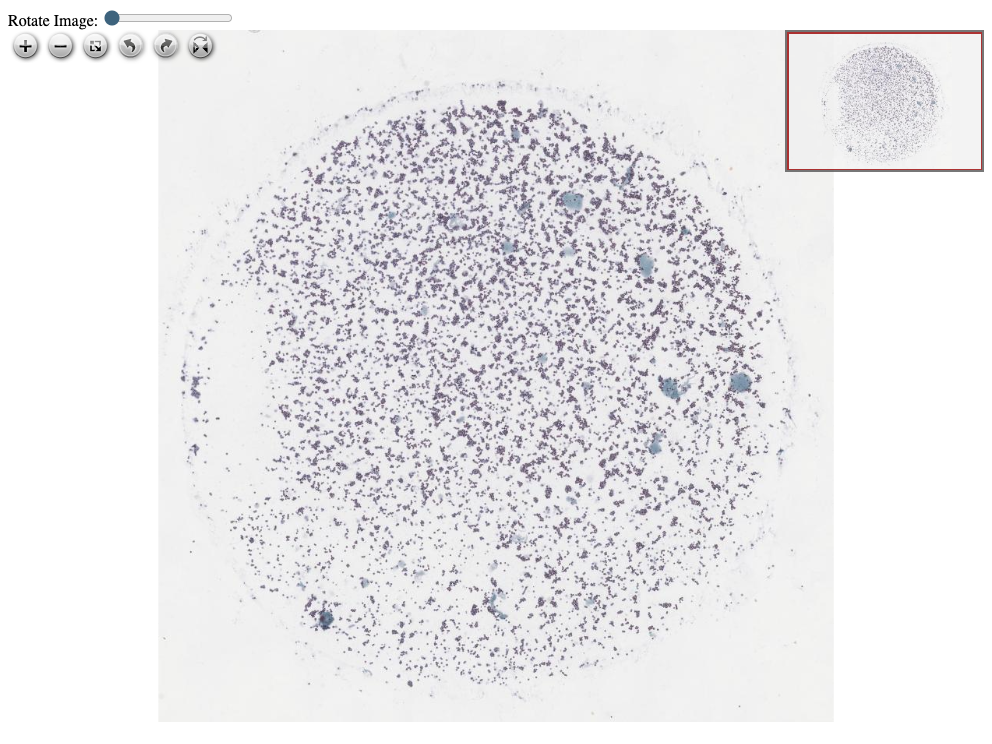 Click for Full Screen WSI