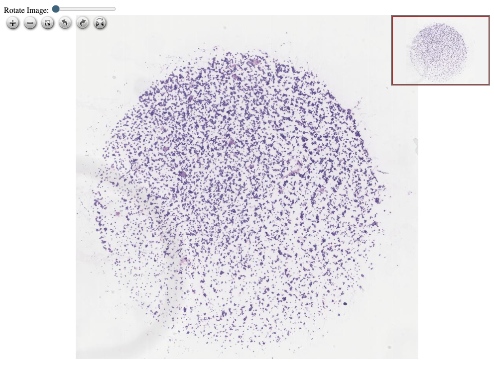 Tam Ekran Görmek İçin Resmi Tıklayın