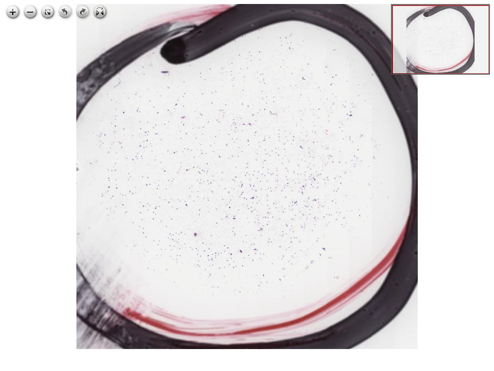 Tam Ekran Görmek İçin Resmi Tıklayın